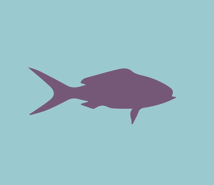 Our.Umbraco.Vorto.Models.VortoValue
