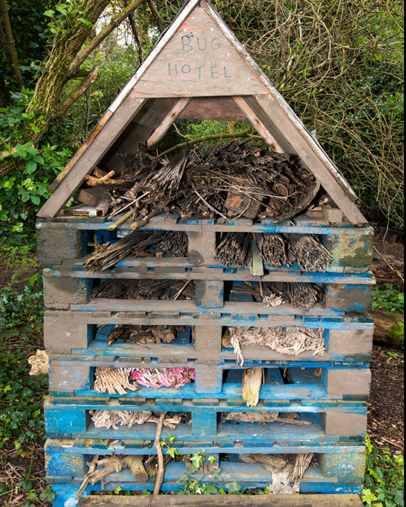 Our.Umbraco.Vorto.Models.VortoValue