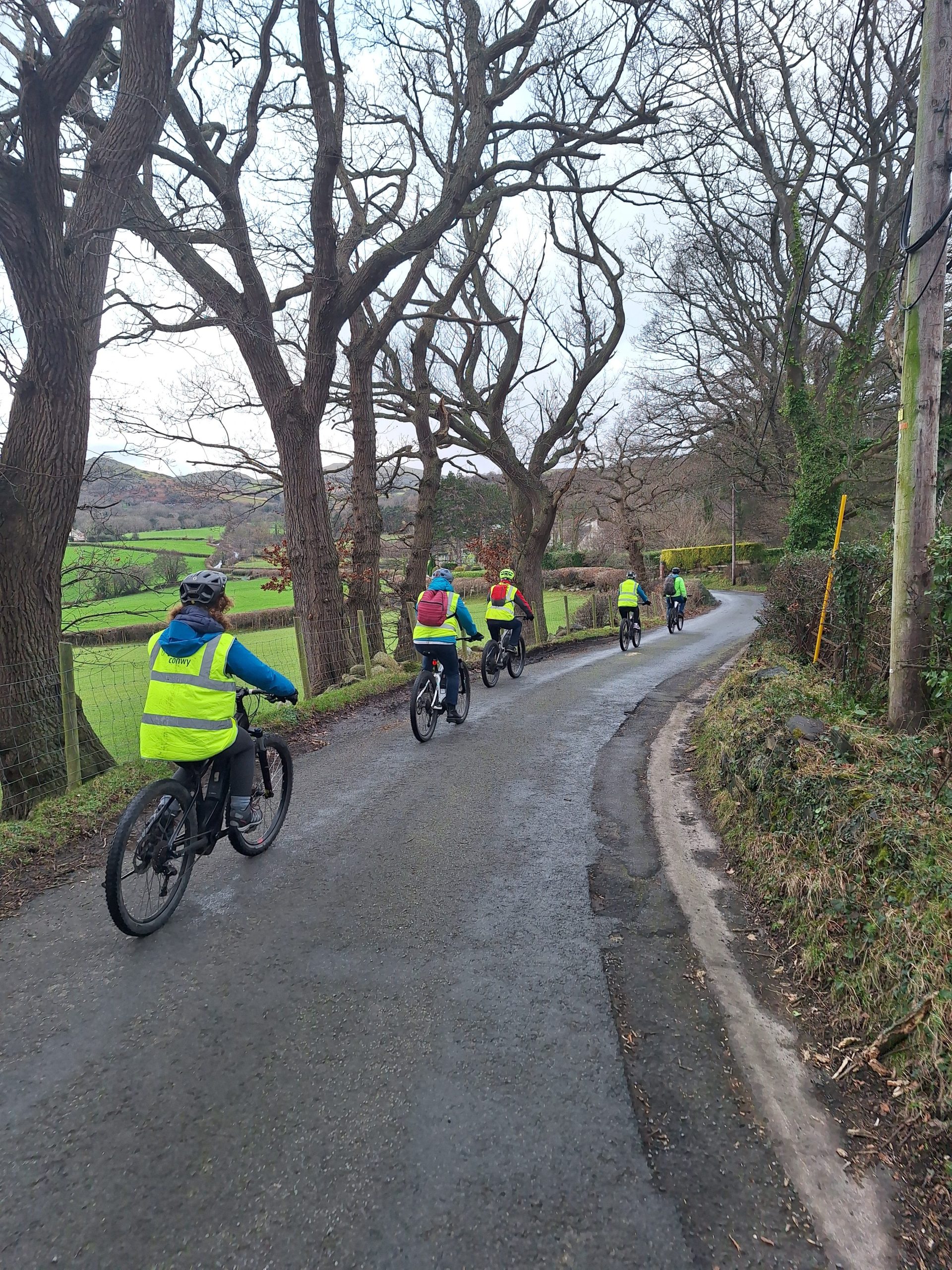 Ebikes country road