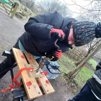 Community garden vols